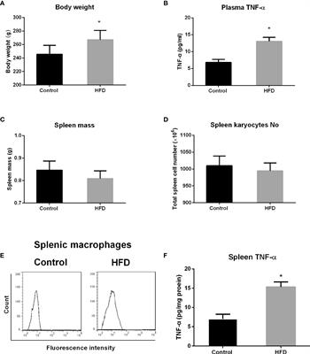 The Effect of High-Fat Diet and Exercise Intervention on the TNF-α Level in Rat Spleen